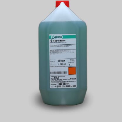 strong cleaner, floor cleaner, alkaline cleaner, general purpose