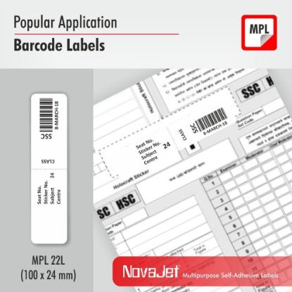 mpl 22l