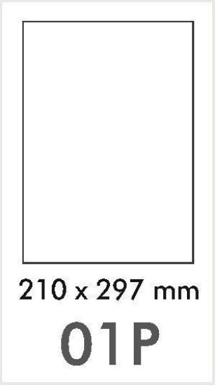 mpl01p - 210 x 297mm wod