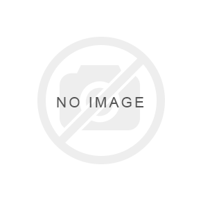 Picture of CondorXL